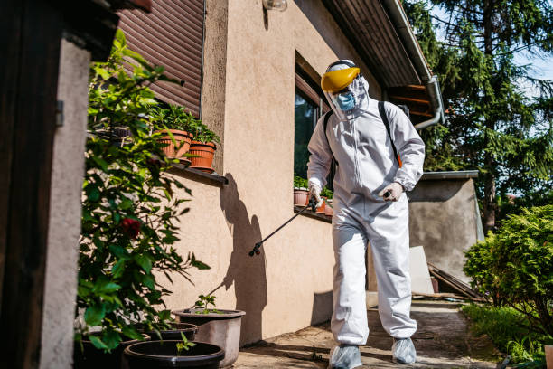 Best Best Pest Control Companies  in Accokeek, MD