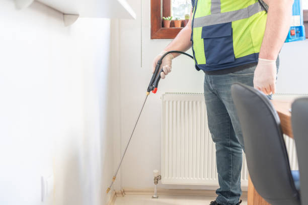 Wasp Removal Services in Accokeek, MD